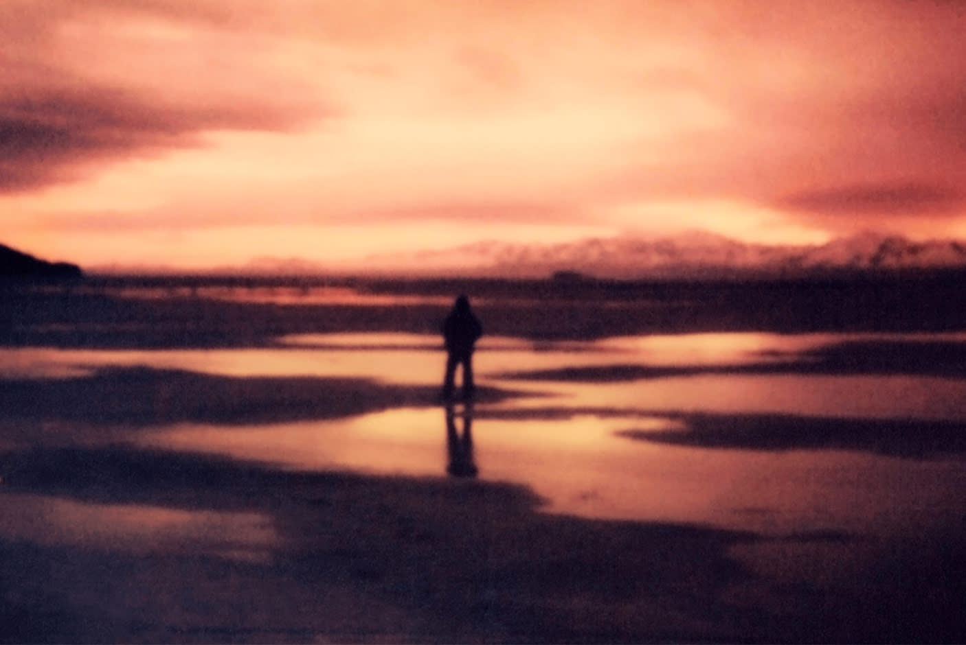 4420462-Tile-1-Polaroid-Now-plus-gen2-truelife