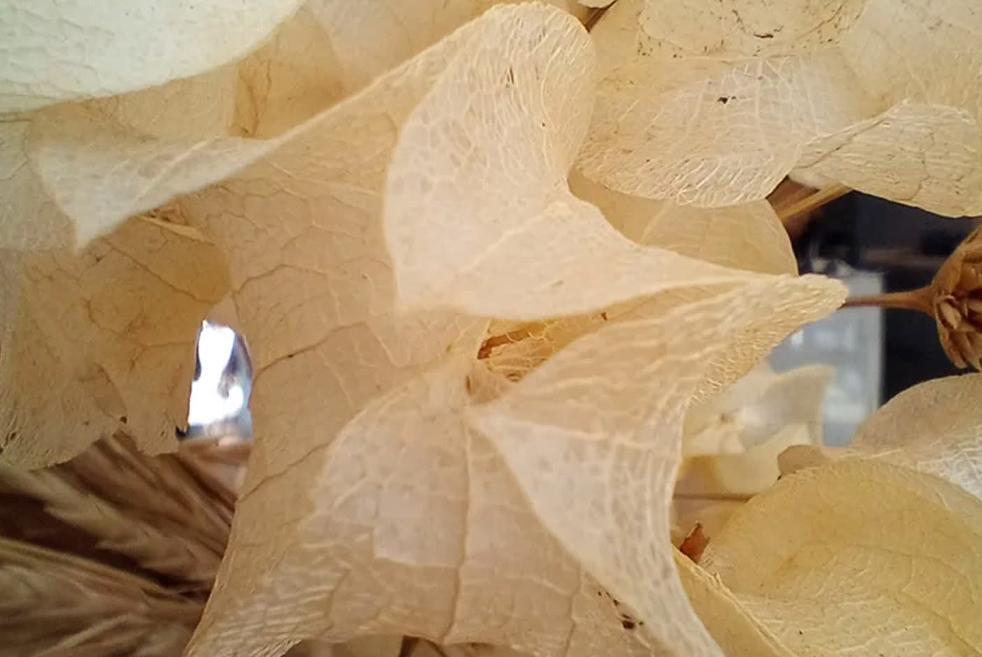 4595033-Tile-6-Better-Close-Ups