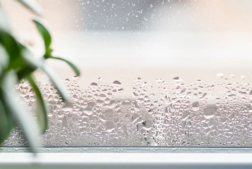 4422589_TILE2_b2adab