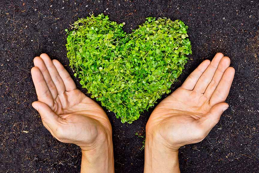 4423690_TILE3_8c736e