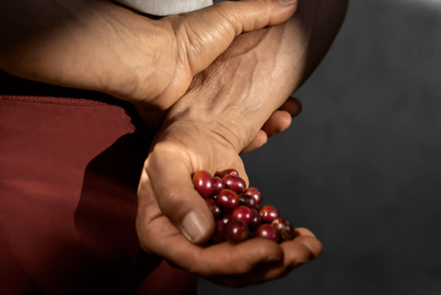 4428900_TILE5_333333