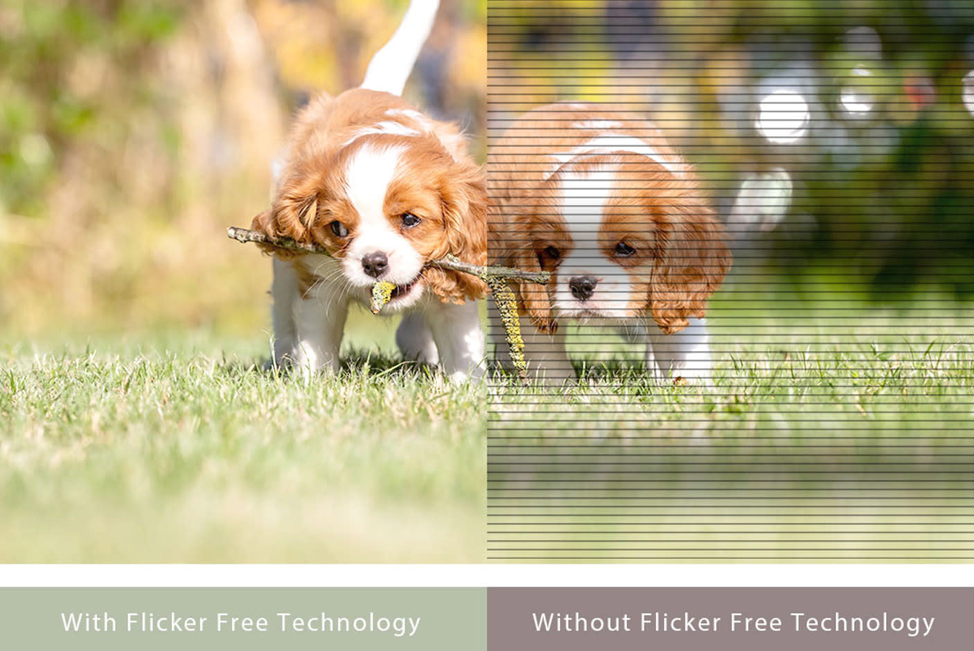 4429494-Tile-4-ASUS-Blue-Light