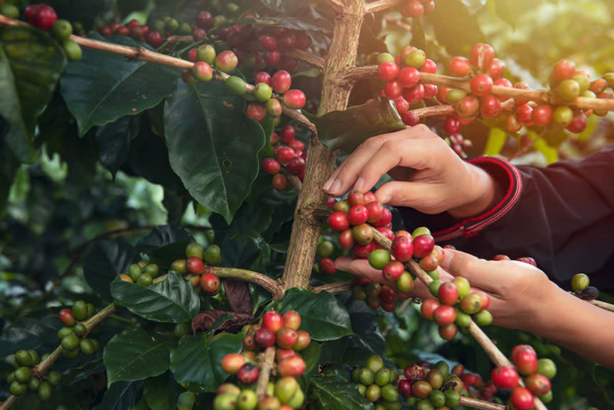 4430948_TILE3_683c36