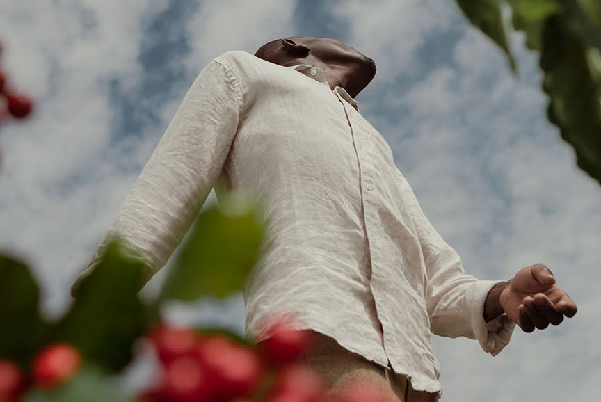 4430956_TILE5_cacabe