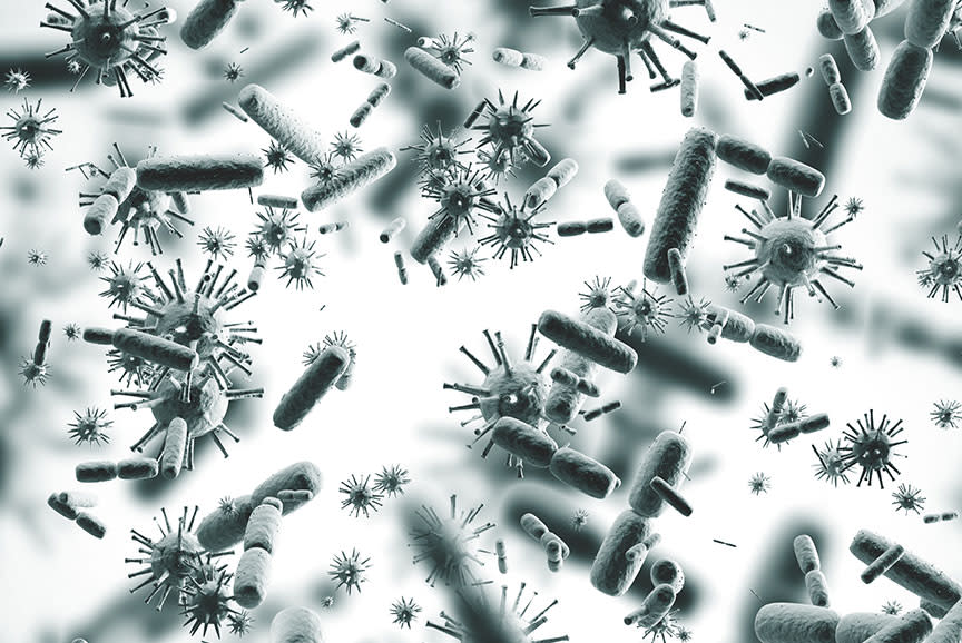 4434609_TILE2_839897