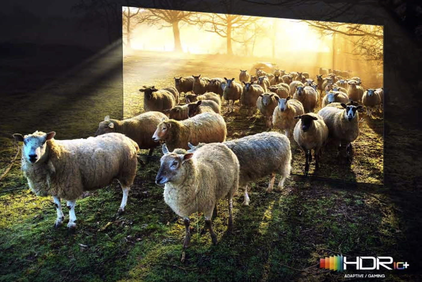 4438639-Tile-7-Neo-Quantum-HDR-8K-Pro