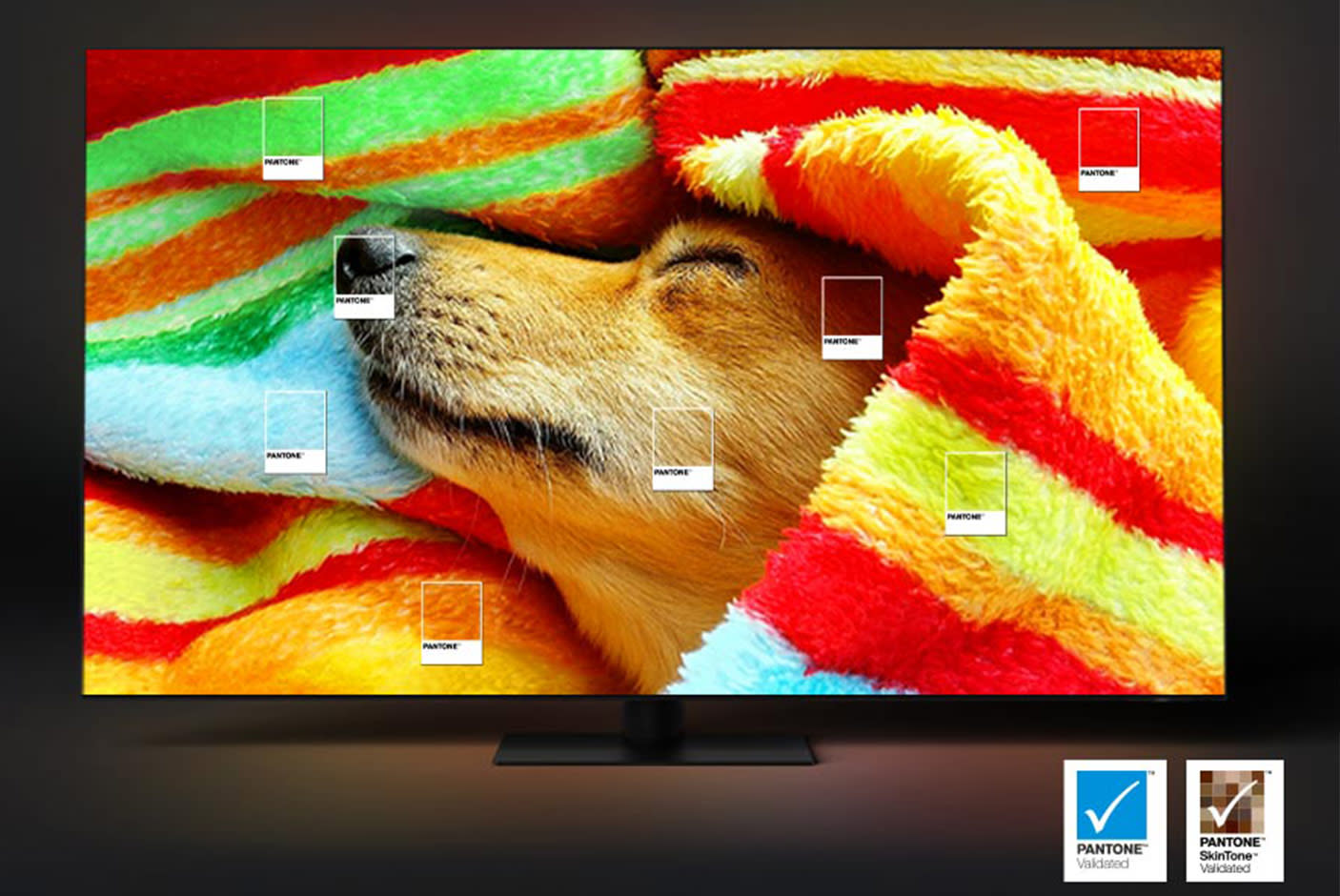 4176669-Tile-7-Samsung-55QN700C-pantone