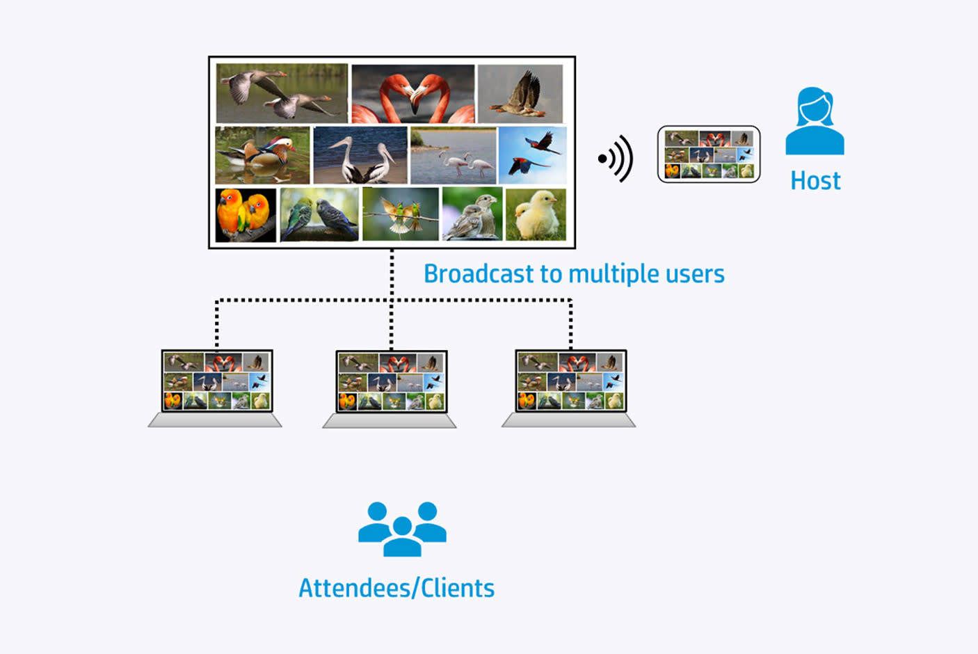 Smart Projection Modes
