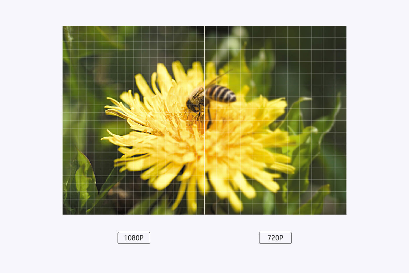 4454170-Tile-1-FHD-1080p