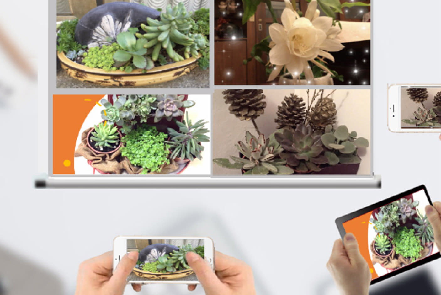 4454170-Tile-7-Split-Screen-Projection