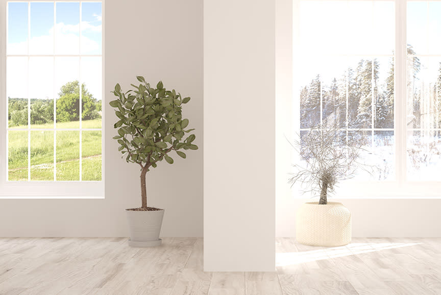 4462254_TILE2_beb2a6