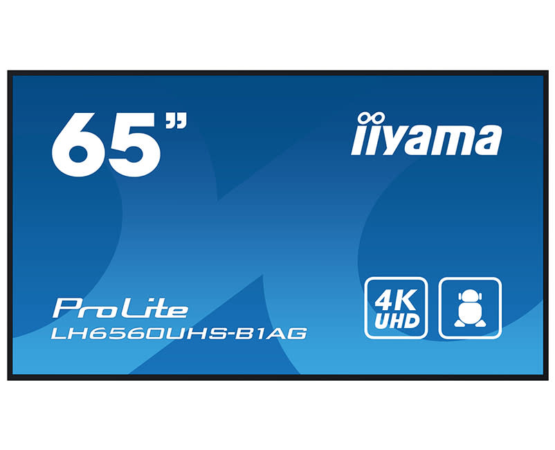 Iiyama ProLite