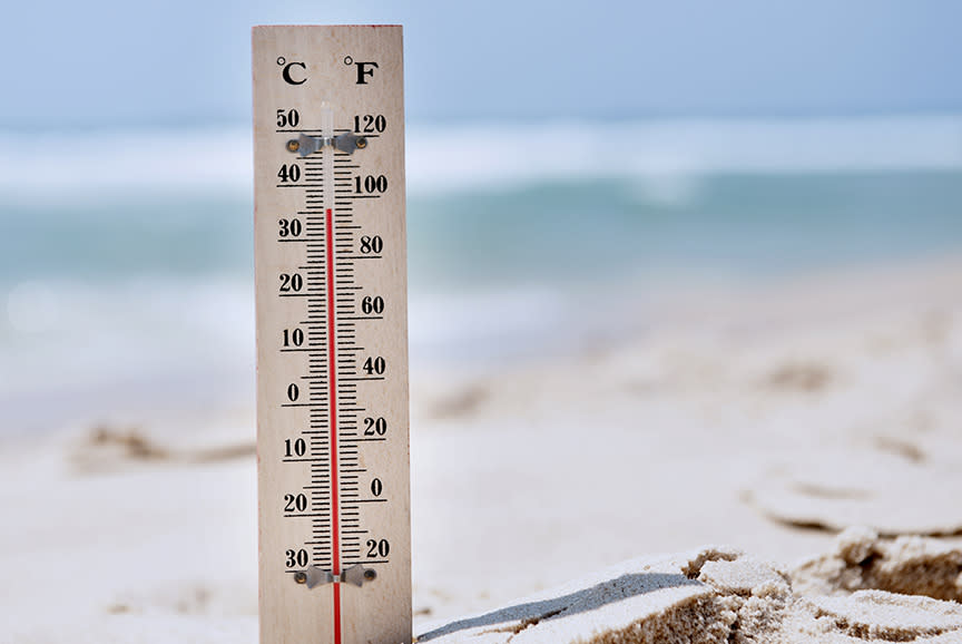 4491424_TILE4_c8c4c8