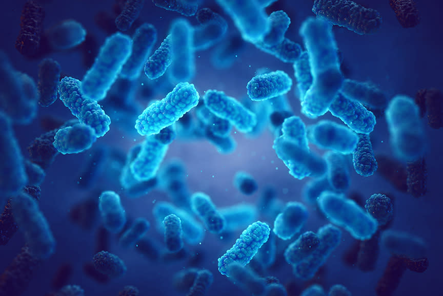 4508114_TILE3_171650