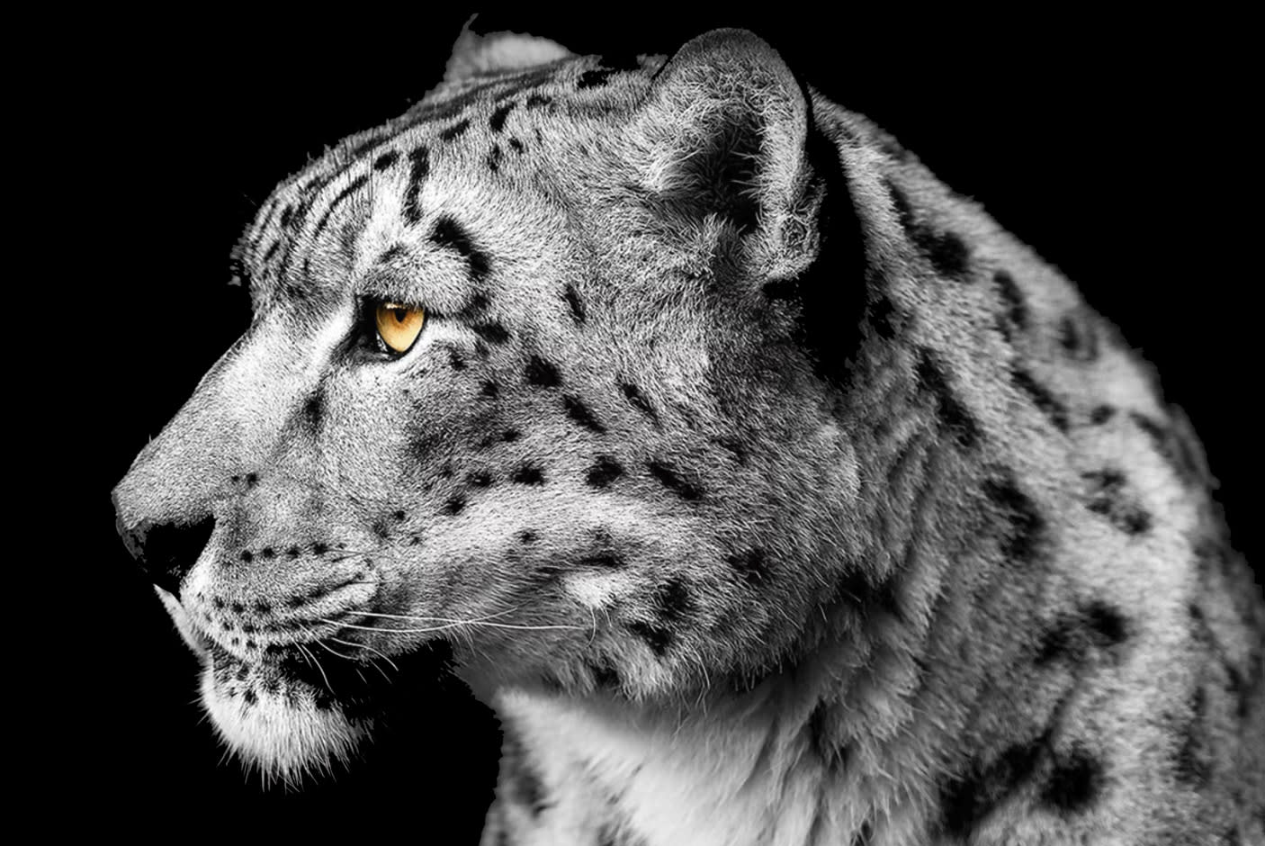 4534190-Tile-5-Brightness-Booster