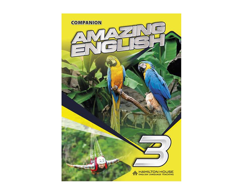 AMAZING ENGLISH 3 COMPANION