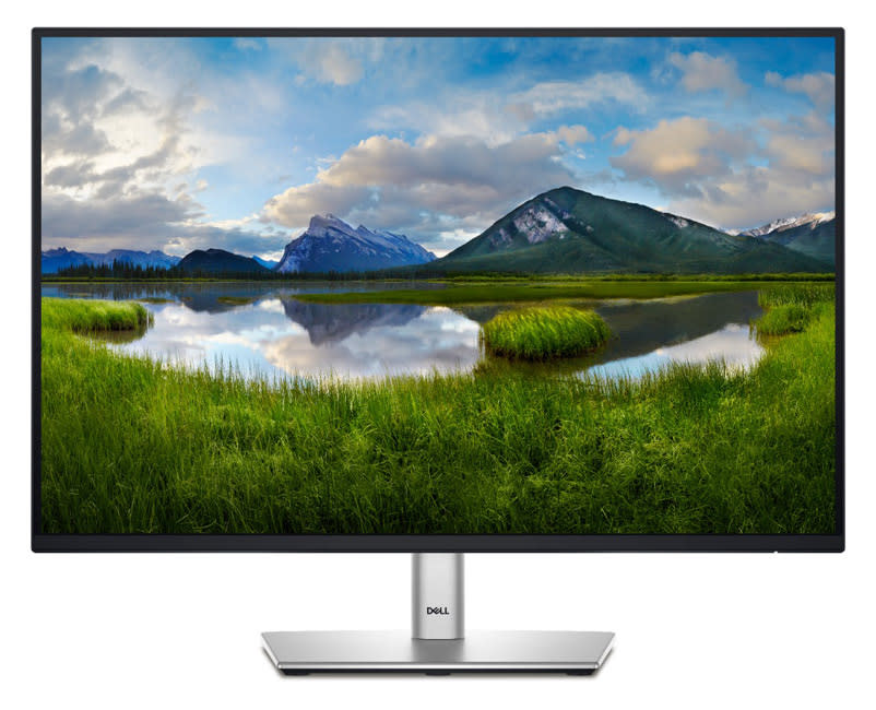Dell 24 Monitor - P2425