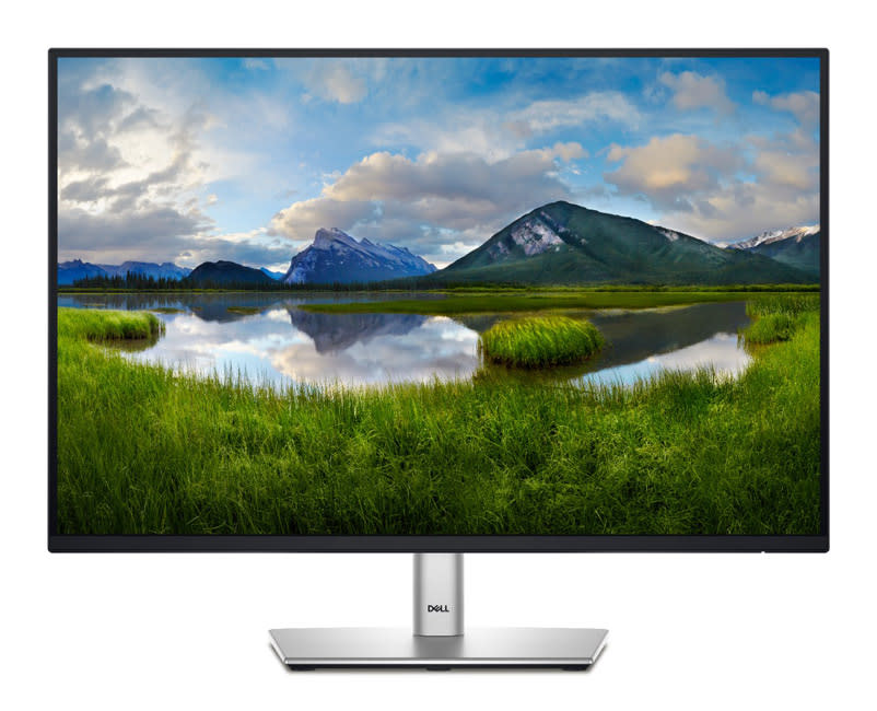 Dell 24 Inch USB-C Monitor - P2425E