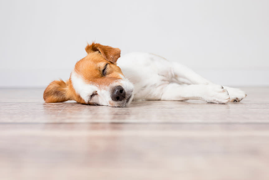 4567390_TILE3_342320