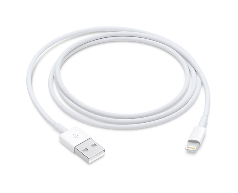 Apple Lightning to USB Cable (1 m)