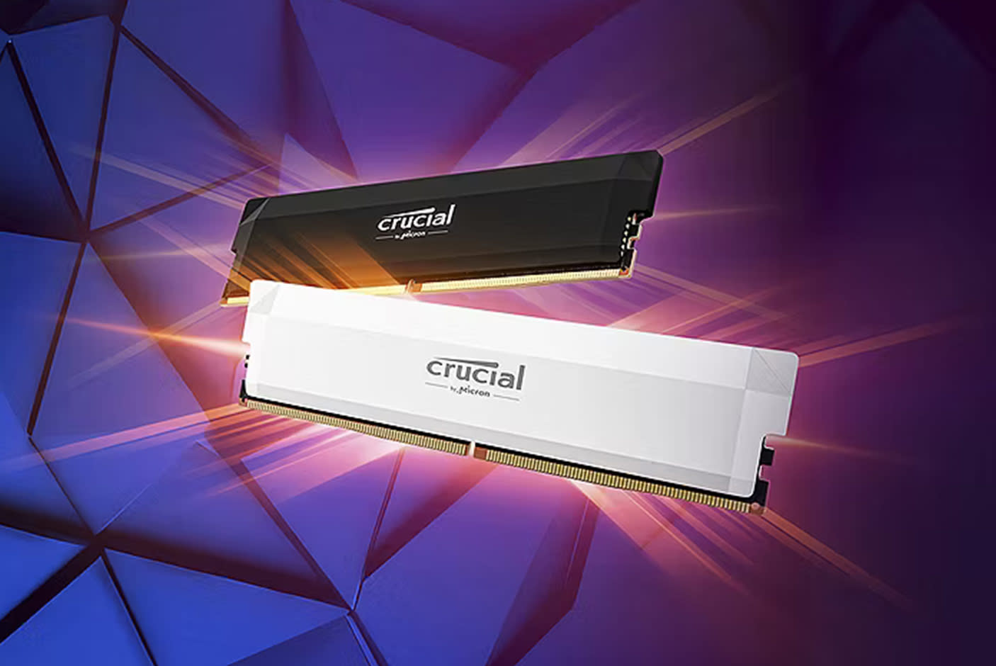 4600436-Tile-2-Crucial-Pro-OC-DDR5-UDIMM