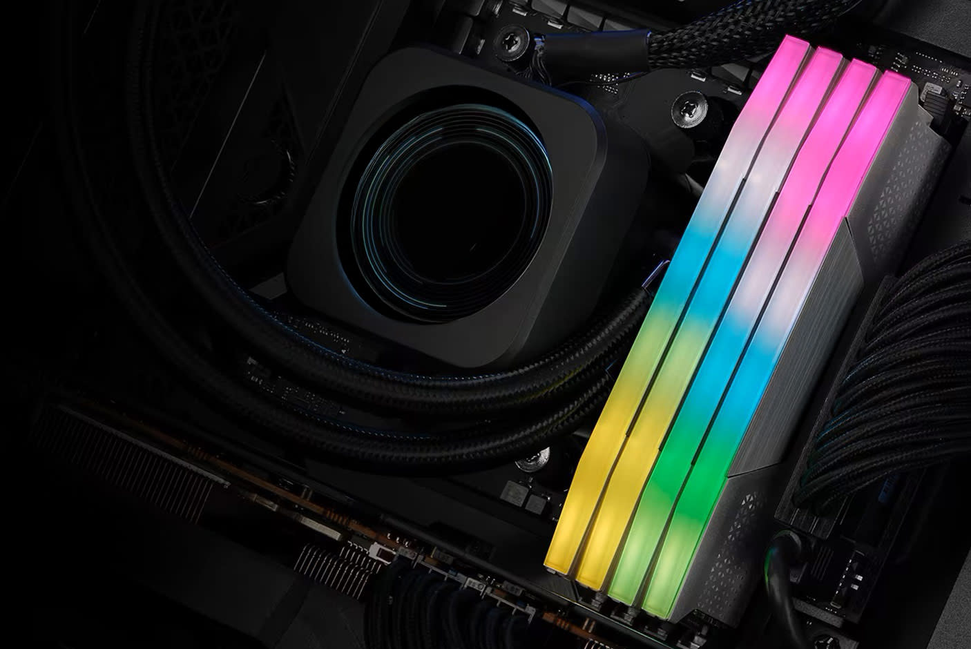 4605683-Tile-5-TurboX-Elite-Shark-