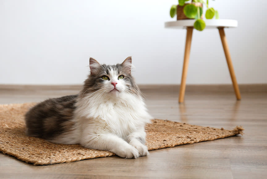 4606795_TILE2_e7e3da