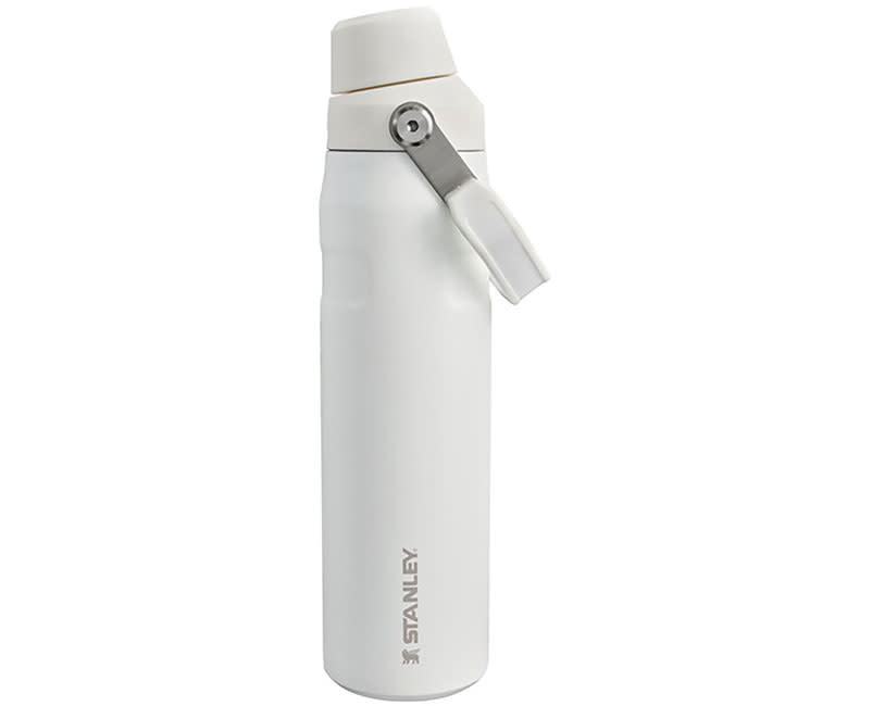 ΠΑΓΟΥΡΙ ΘΕΡΜΟΣ FAST FLOW 0.6L FROST