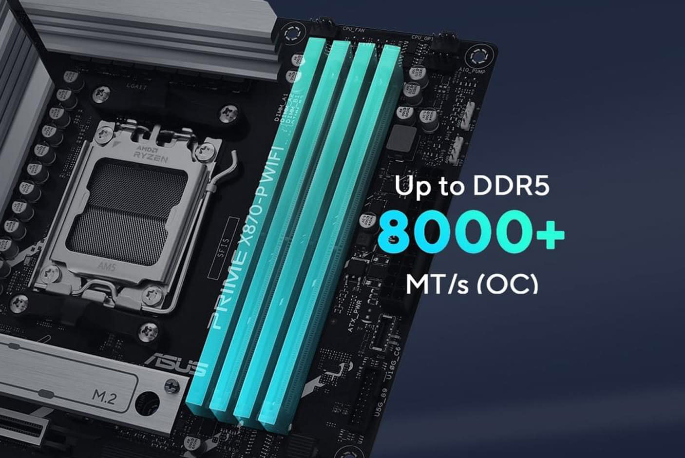 4623541-Tile-4-DDR5-DOMINATION