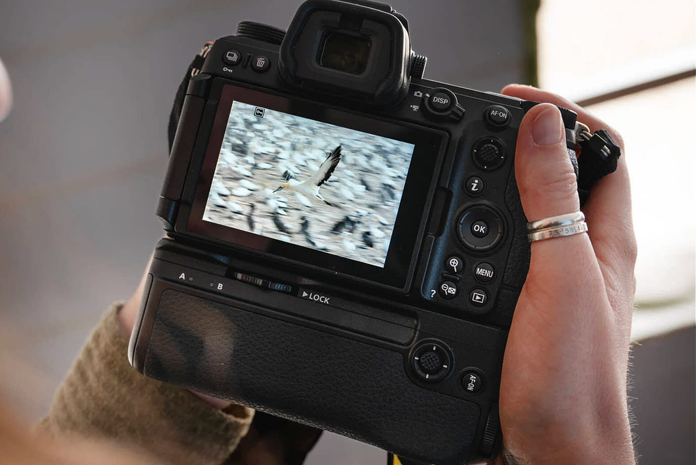 4629876-Tile-8-Nikon-Z6-III