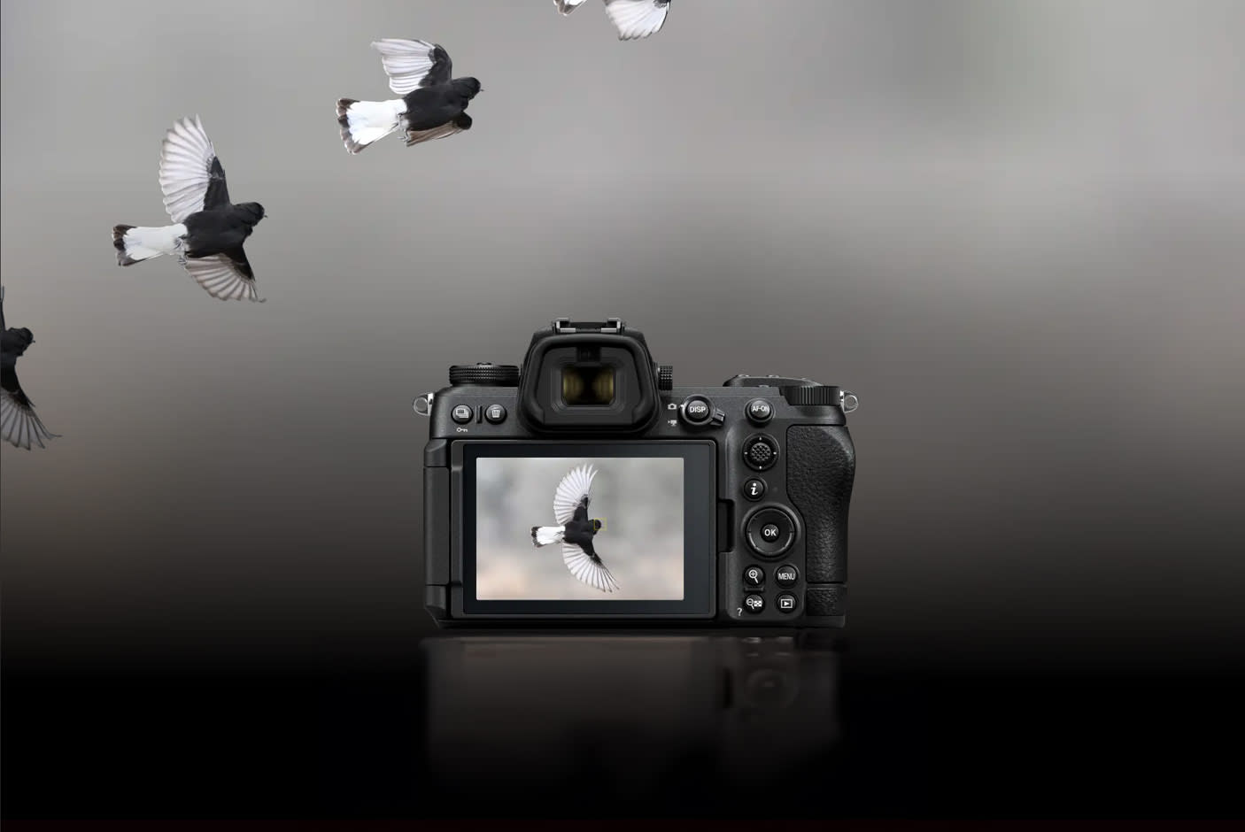 4629876-Tile-3-Nikon-Z6-III