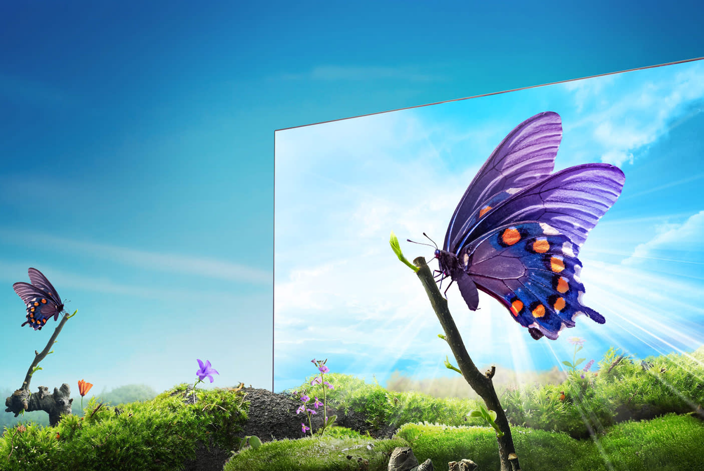 4633326-Tile-3-Hisense-UHD-TV-A6-Series