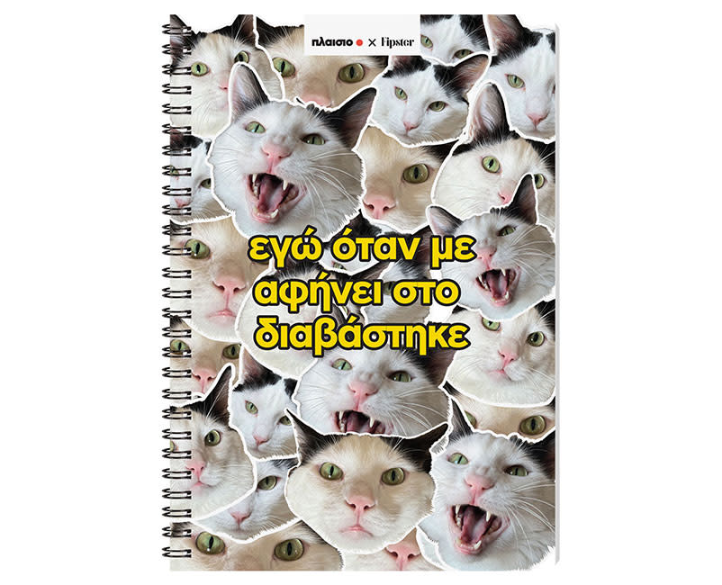 ΤΕΤΡΑΔΙΟ ΣΠΙΡΑΛ 17x25 RU 80Φ