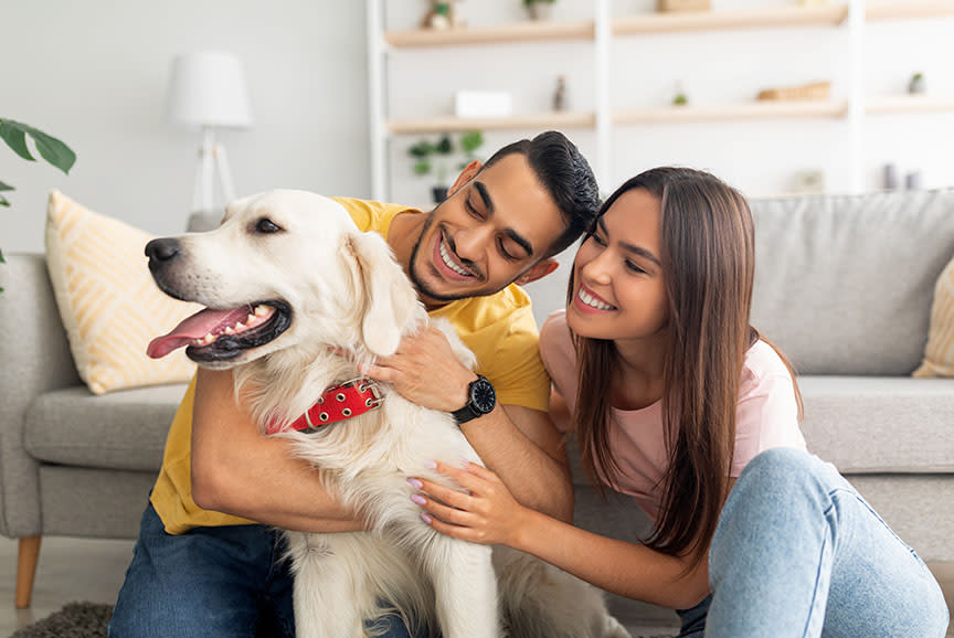 4645286_TILE5_d2d3cd