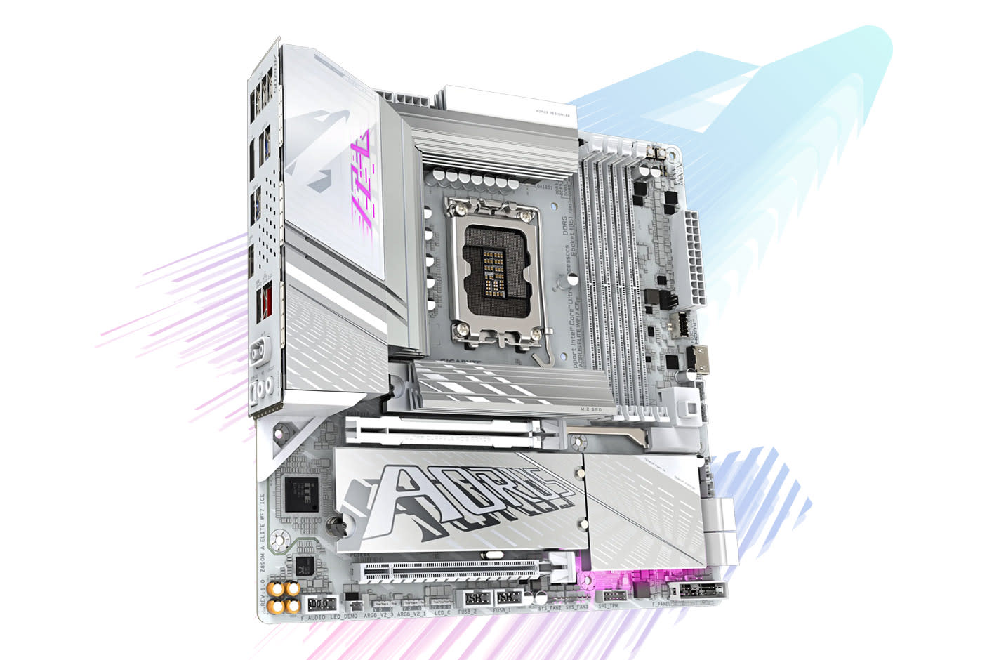 4645901-Tile-2-D5-Bionic-Corsa