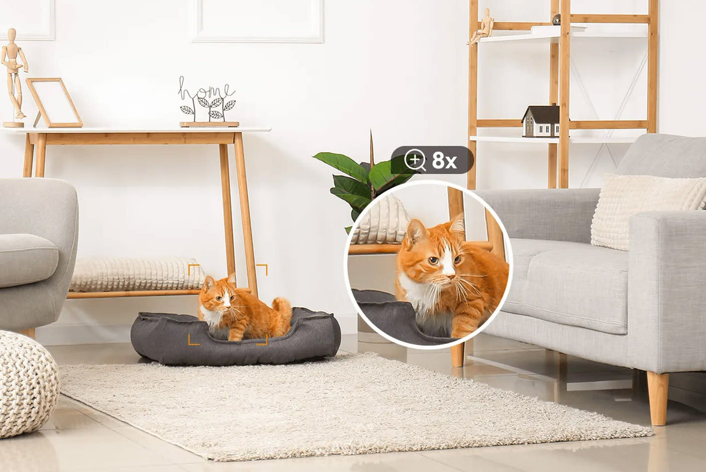 4655869-Tile-4-3K-Image-Resolution