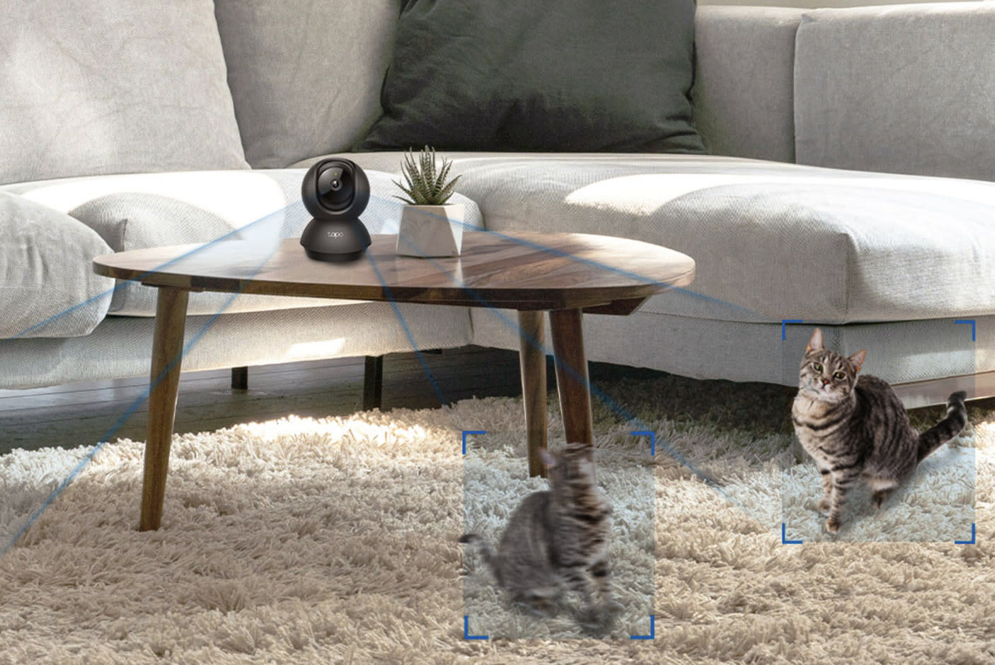 4712005-Tile-3-Motion-Detection