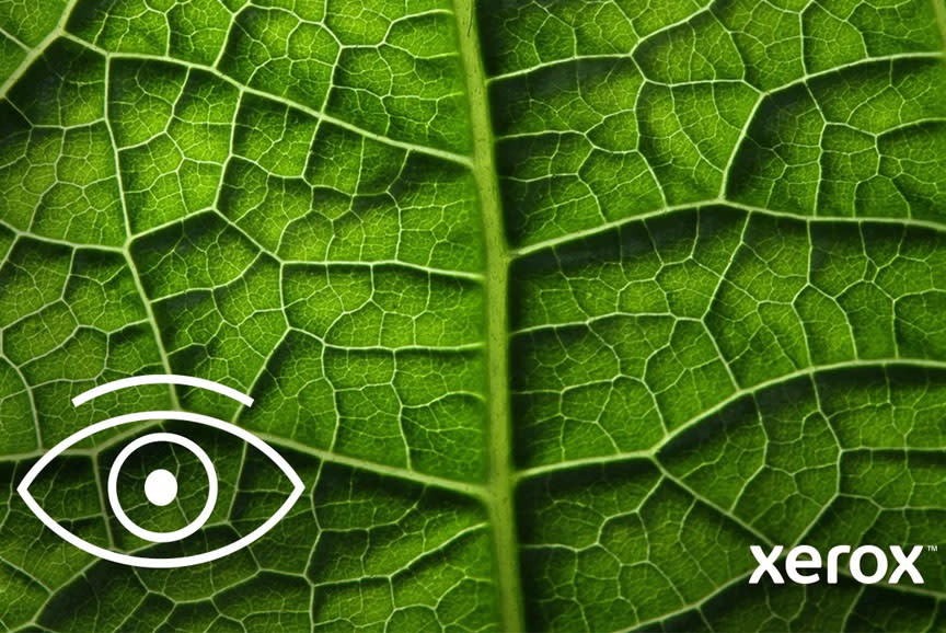 4668006_TILE1_1f2f21