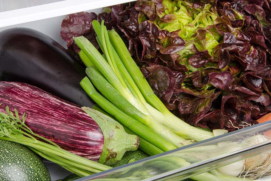 4669657_TILE2_f5f4f9v