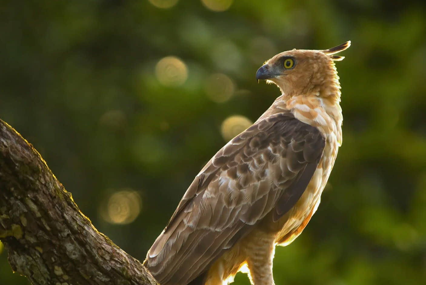 4672968-Tile-2-The-Inside-Counts