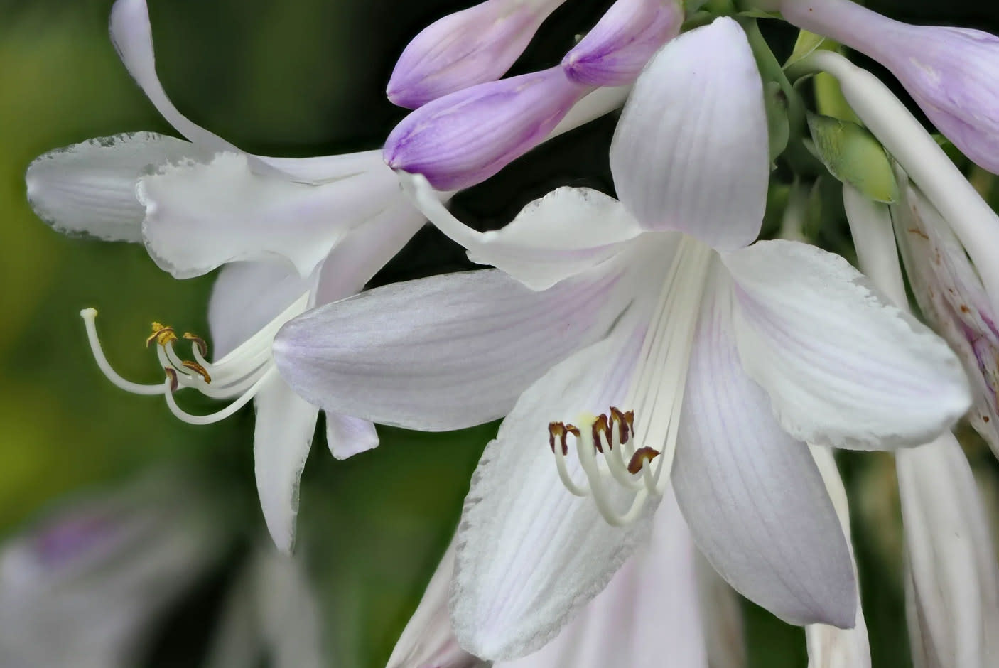 4672968-Tile-5-LiveND-Live-Composite