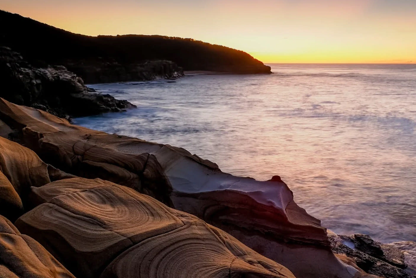 4672968-Tile-6-Focus-Stacking