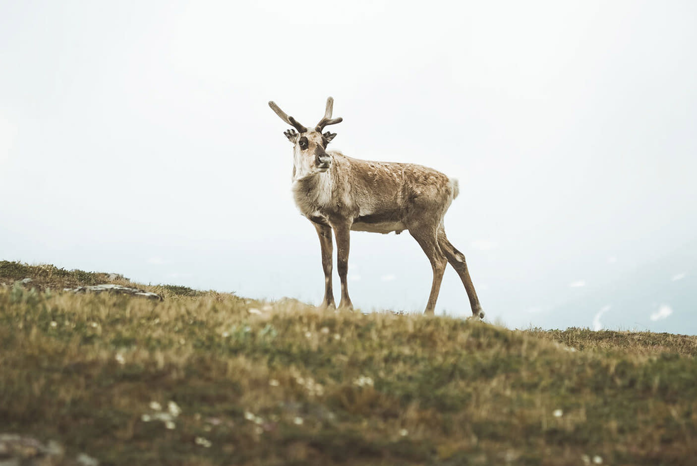 4672976-Tile-3-5-axis-IS