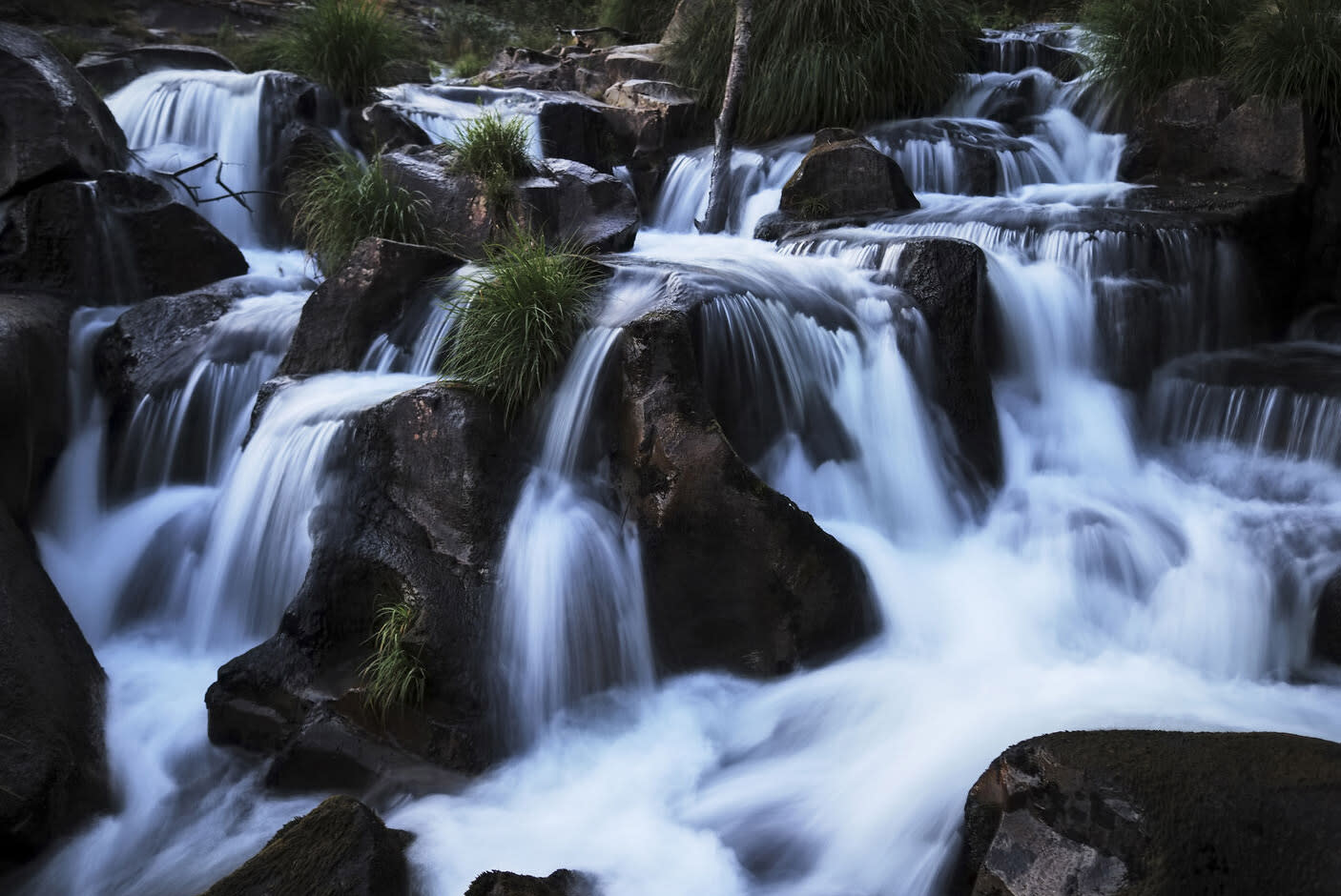 4672976-Tile-4-Creative-LiveND