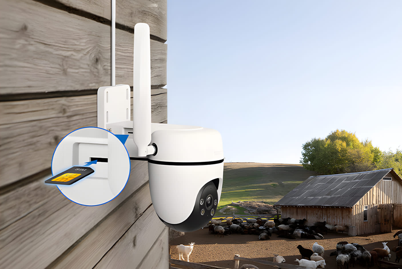 4677773-Tile-1-Tapo-C501GW-4G