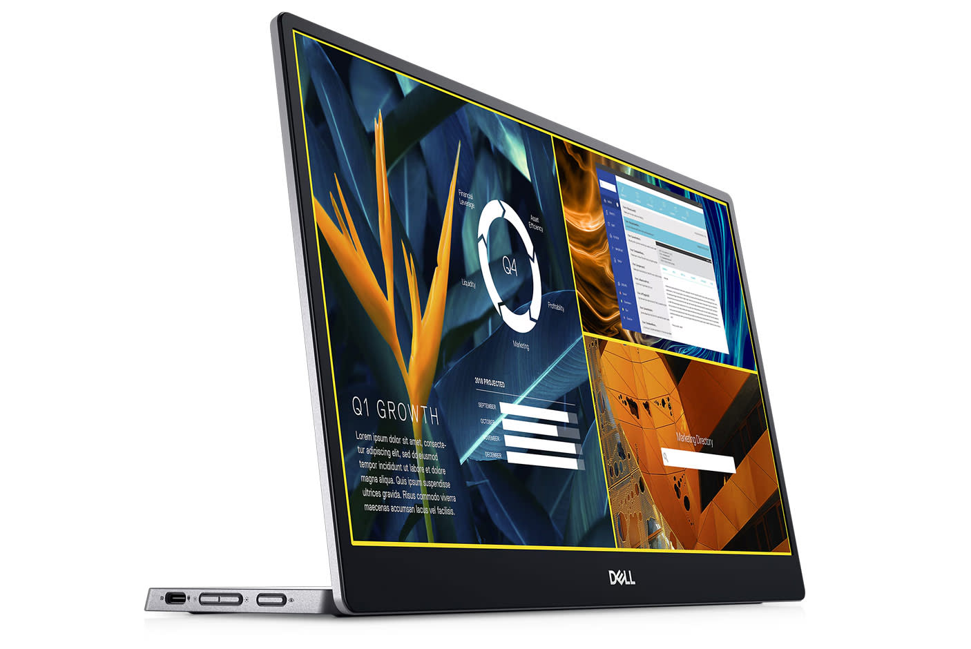 4688503-Tile-3-Dell-P1424H-DDM