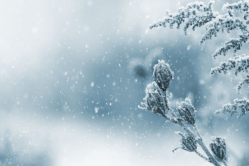 4688929_TILE1_e9eef1