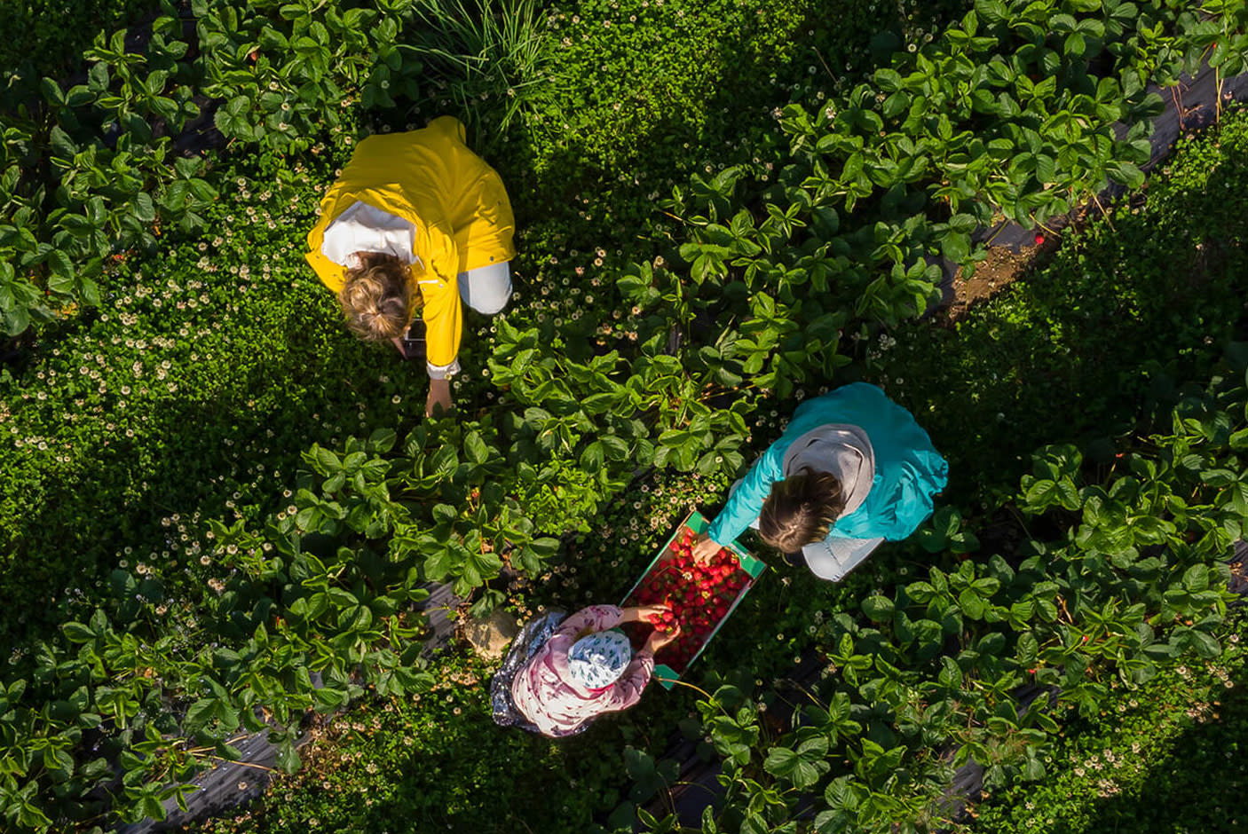 4689852-Tile-8-Environmental-Certification