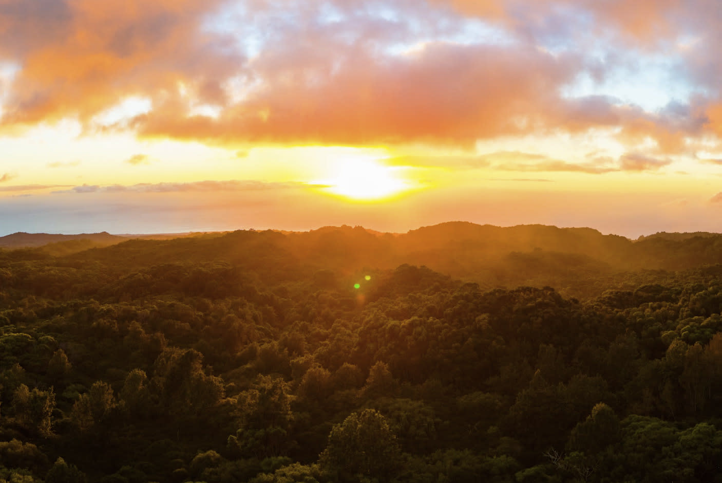 4705076-Tile-10-Smart-Enhancement