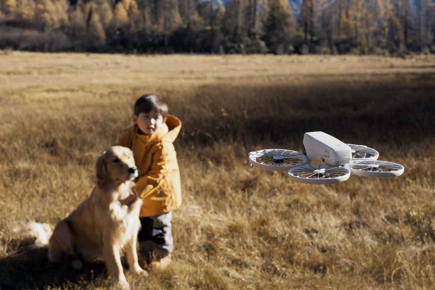 4705076-Tile-6-Exceptional-Quality